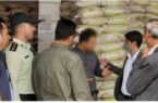 کشف ۶۶ تن برنج احتکار شده در پارس آبادمغان