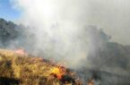 دستگیری عاملان آتش‌سوزی عمدی در نمین