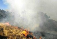 دستگیری عاملان آتش‌سوزی عمدی در نمین