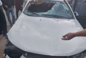 لحظه تصادف وحشتناک دنا با گاومیش در پارس‌آبادمغان