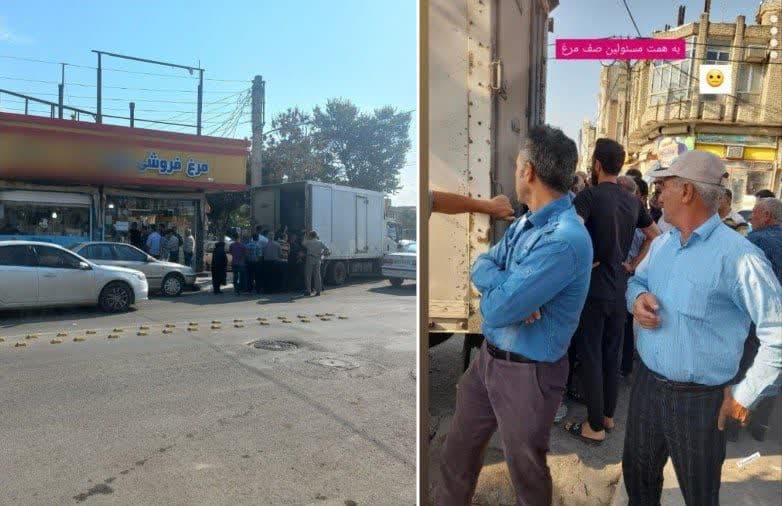 صف های مرغ بلای جان پارس آبادی ها