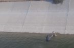 نجات آهوی سقوط کرده در کانال آب پارس آبادمغان