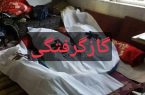 قاتل خاموش جان سه نفر در شهرستان پارس‌آبادمغان را گرفت