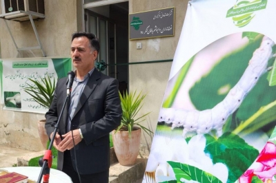 کشت و صنعت پارس؛ آغاز دورانی تازه با مدیریت سروی