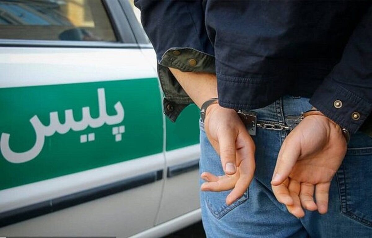 دستگیری فروشندگان مواد مخدر و مخلان نظم و امنیت در اماکن عمومی پارس آبادمغان
