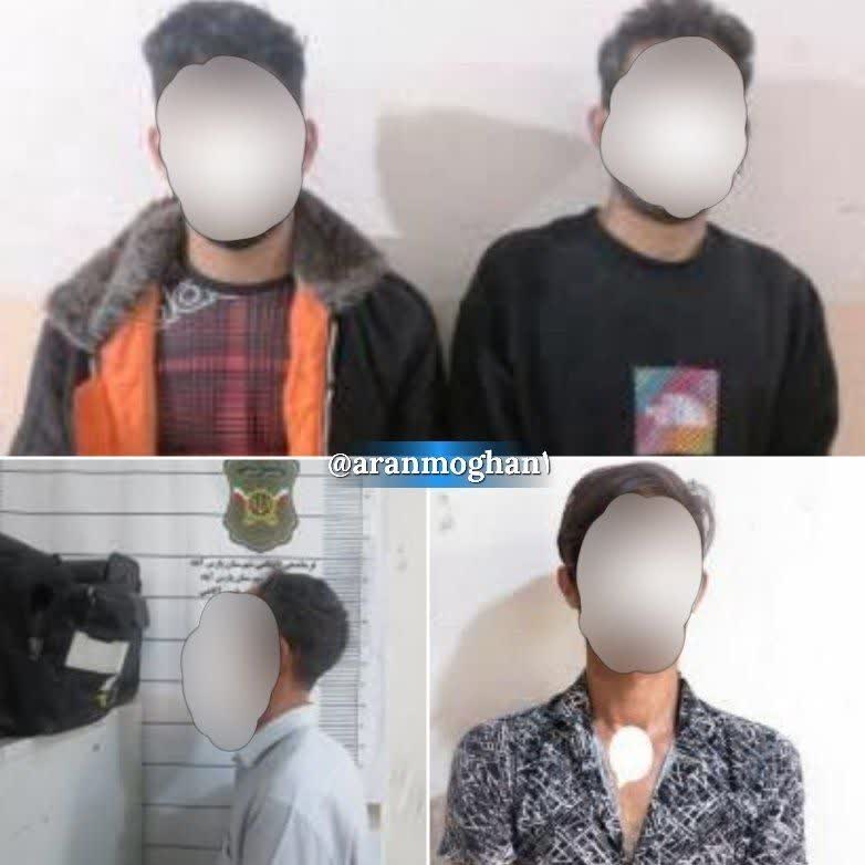  دستگیری سارقان خودرو و اماکن خصوصی در پارسآبادمغان
