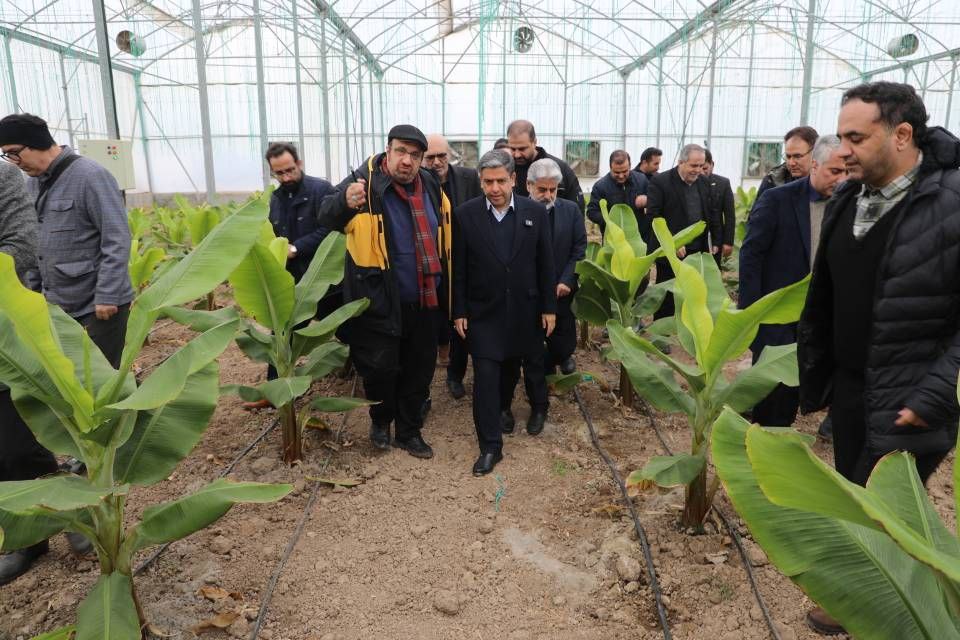 افتتاح پروژه های دهه فجر شهرستان پارس آباد با حضور استاندار