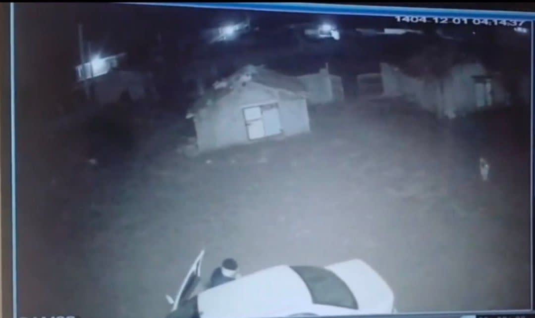 لحظه سرقت ۱۲ رأس گوسفند با خودروی سمند در قشلاق حاج رمضان