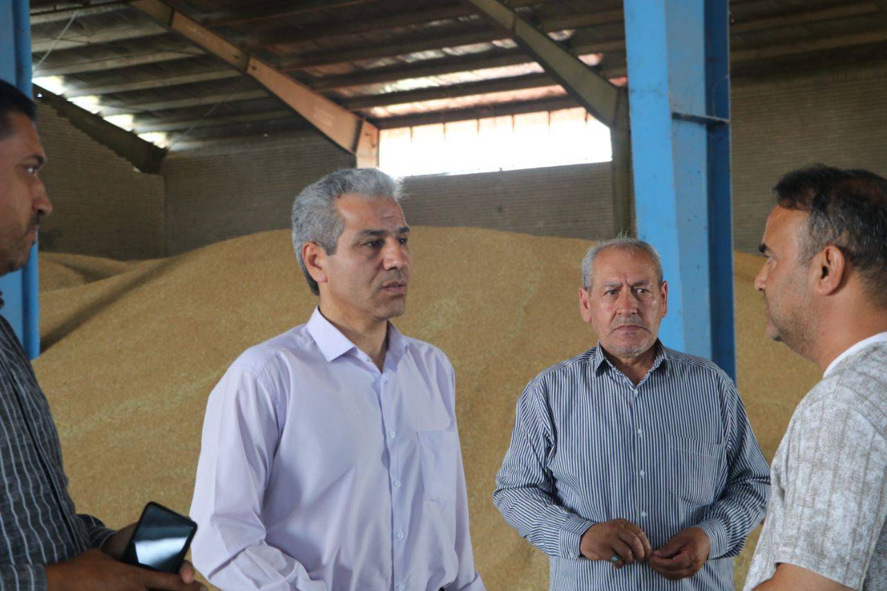 خروج گندم از استان اردبیل ممنوع شد