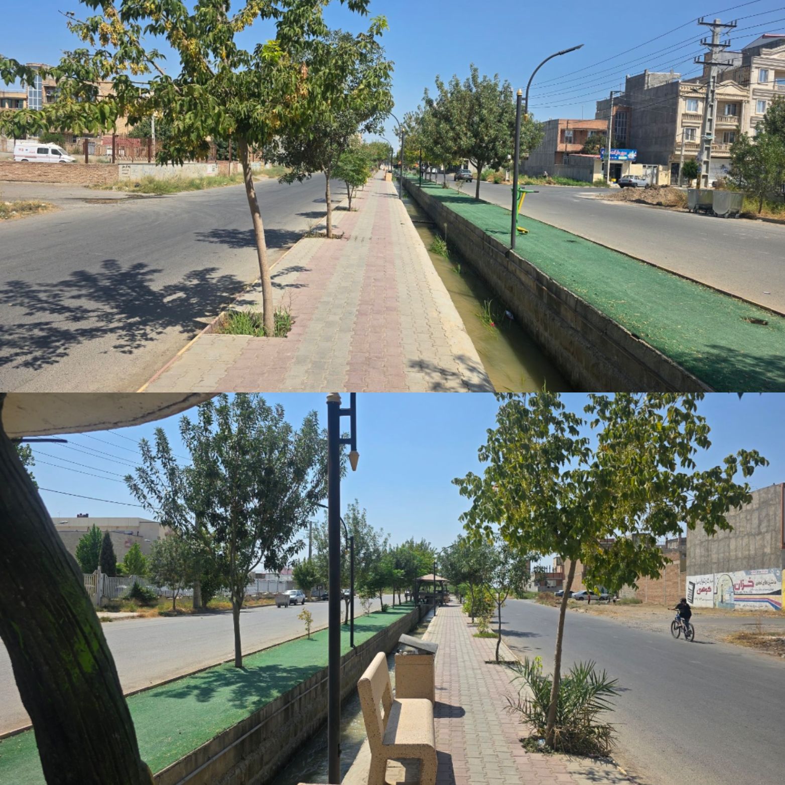 درختان تشنه در کنار آب؛ روایت تلخ فضای سبز خیابان ستارخان پارس آباد