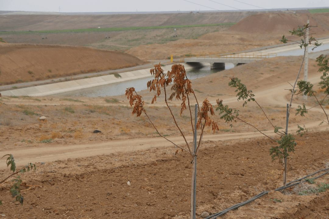 هشدار نظارتی دیوان محاسبات درباره نحوه واگذاری اراضی پایاب سد خداآفرین